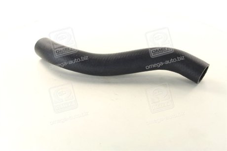 Патрубок радіатора верхнійAccent /11--*/ Hyundai/Kia/Mobis 254111R150