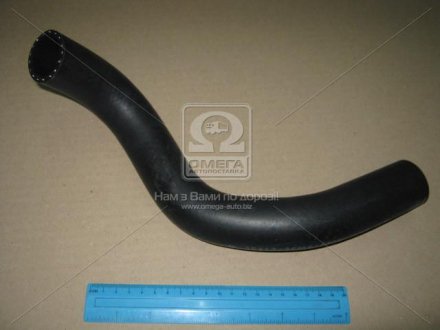 Патрубок Радіатора Охолодження Нижній Cerato 06-09 1.6I Hyundai/Kia/Mobis 254122F800